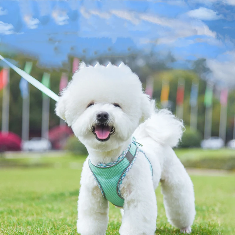 Dog Cat Harness Vest Chest Rope Set Reflective Breathable Adjustable Pet Harness for Small Medium Dogs Puppy Outdoor Walking
Dog Cat Harness Vest Chest Rope Set Reflective Breathable Adjustable Pet Harness for Small Medium Dogs Puppy Outdoor Walking