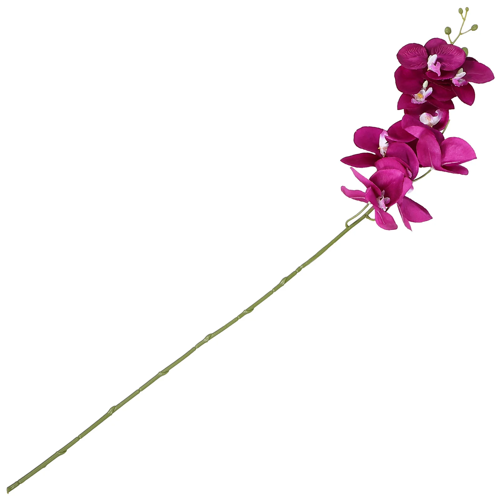 Orchid Artificial Flower Flowers Wedding Plant Simulation Plants Fake Arrangements Stem White Decoration Arrangement With For 
Orchid Artificial Flower Flowers Wedding Plant Simulation Plants Fake Arrangements Stem White Decoration Arrangement With For