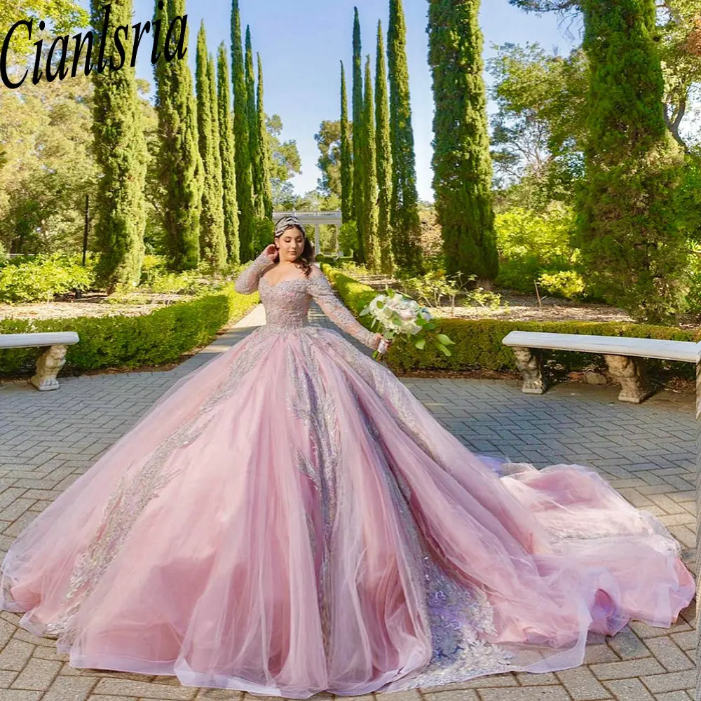 Pink Sequined Appliques Lace Beading Ball Gown Quinceanera Dresses Off The Shoulder Long Sleeve Corset Vestidos De 15 Años
Pink Sequined Appliques Lace Beading Ball Gown Quinceanera Dresses Off The Shoulder Long Sleeve Corset Vestidos De 15 Años
