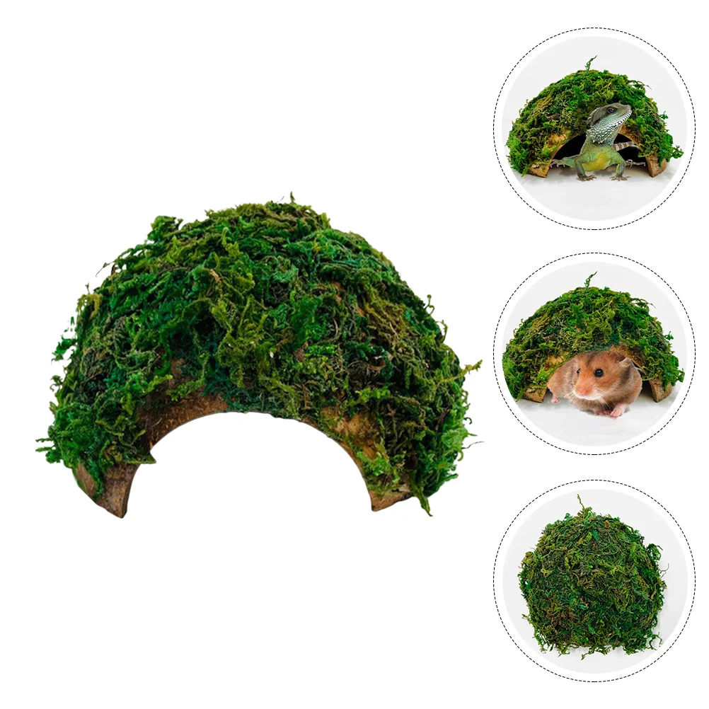 

Reptile Hideout House and Cave Glass Turtle Habitat Gecko Coconut Shell Hamster Hiding Hides Caves