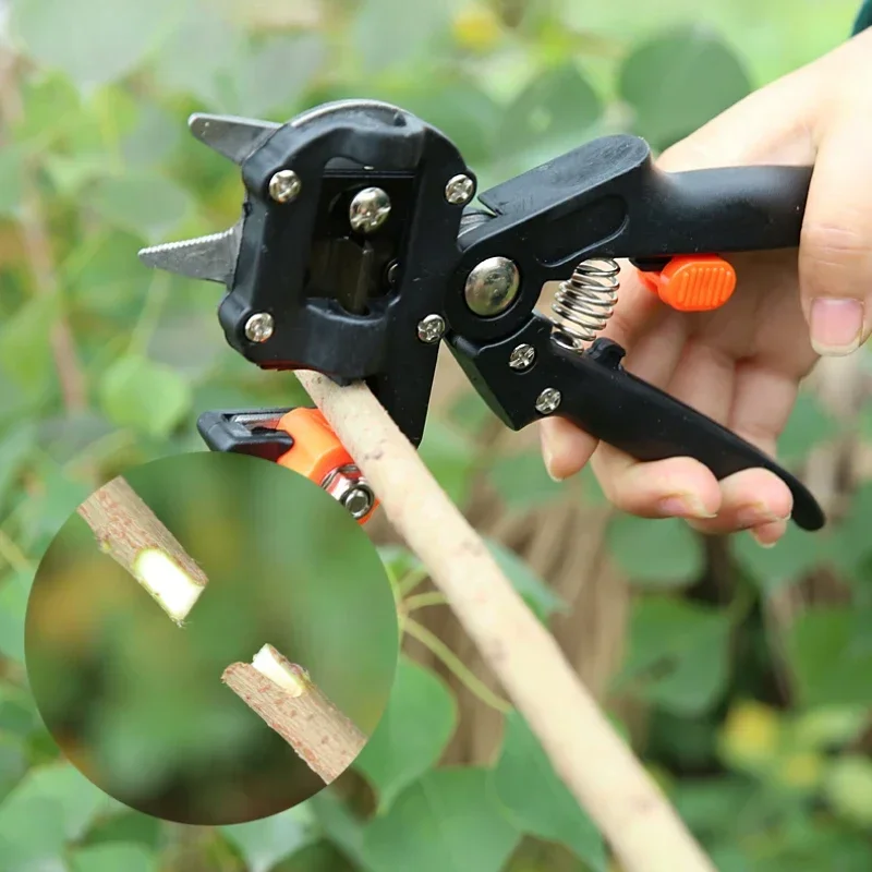 Garden Tools Professional Farming Pruning Shears Grafting Scissor Fruit Tree Vaccination Secateurs Cutting Knife
Garden Tools Professional Farming Pruning Shears Grafting Scissor Fruit Tree Vaccination Secateurs Cutting Knife