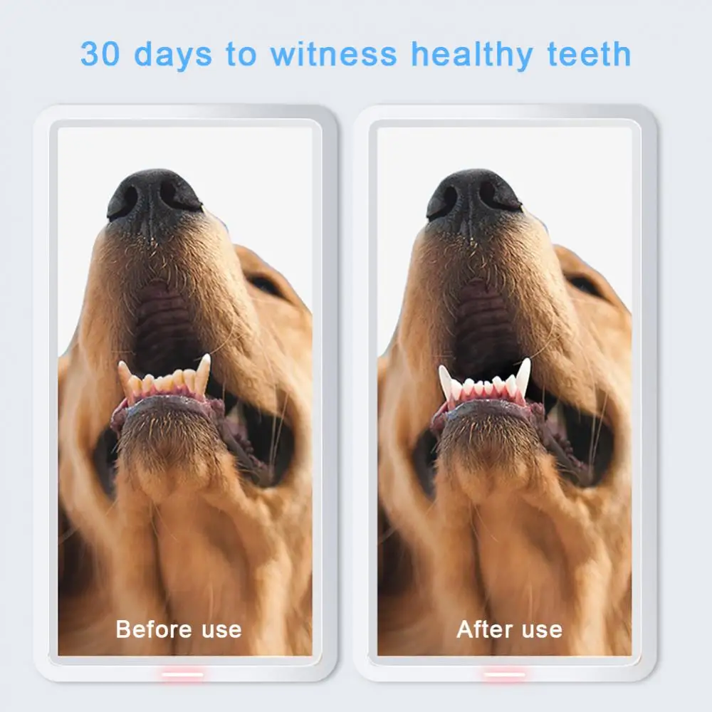 Набор для чистки зубов из нетканого материала, удобное использование пальцев, защита от падения, уход за зубами
Набор для чистки зубов из нетканого материала, удобное использование пальцев, защита от падения, уход за зубами