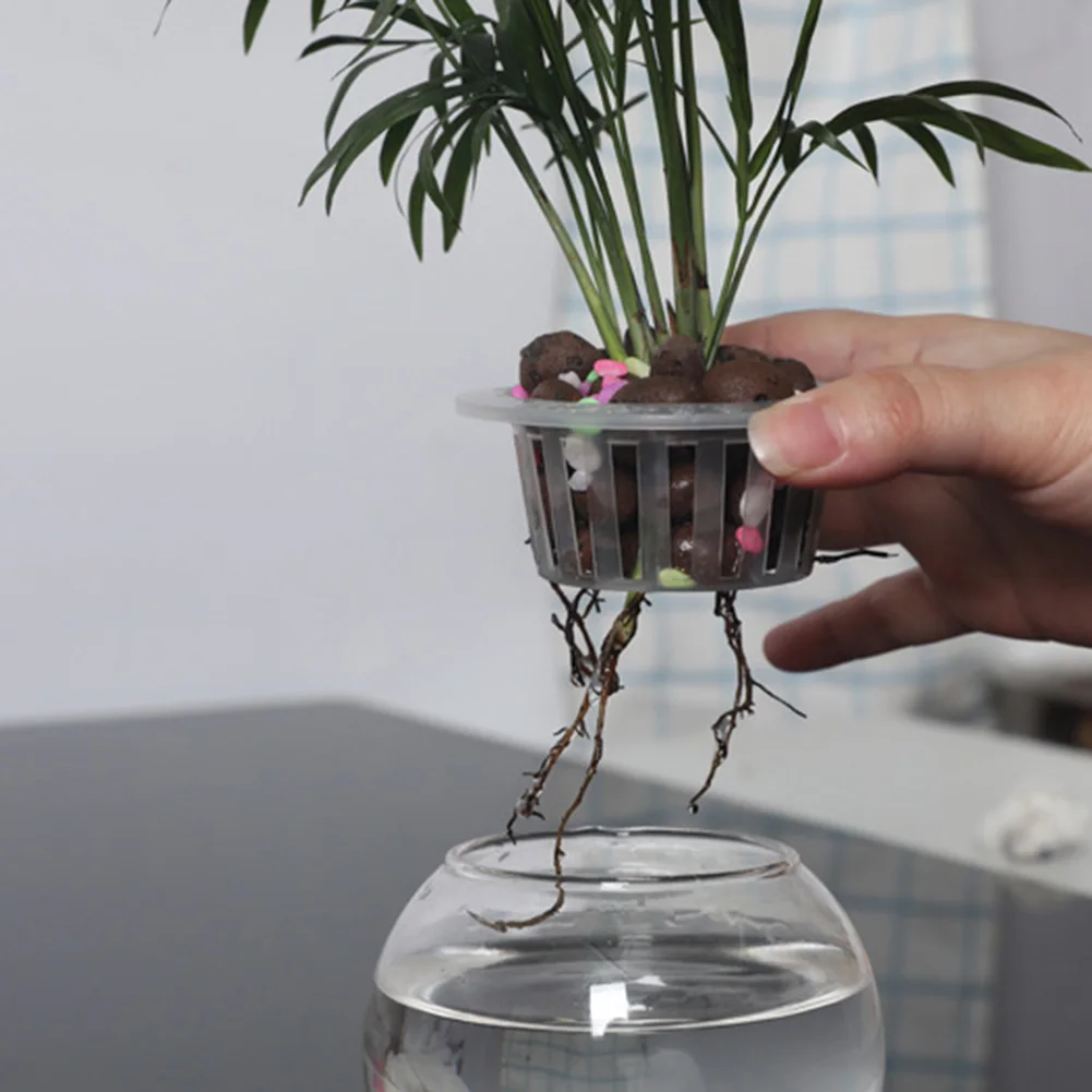 Accessories Planting Baske Plastic Transparent Hydroponic Aquarium Insert Mesh Pot Net Cloning Basket Plants Growth
Accessories Planting Baske Plastic Transparent Hydroponic Aquarium Insert Mesh Pot Net Cloning Basket Plants Growth