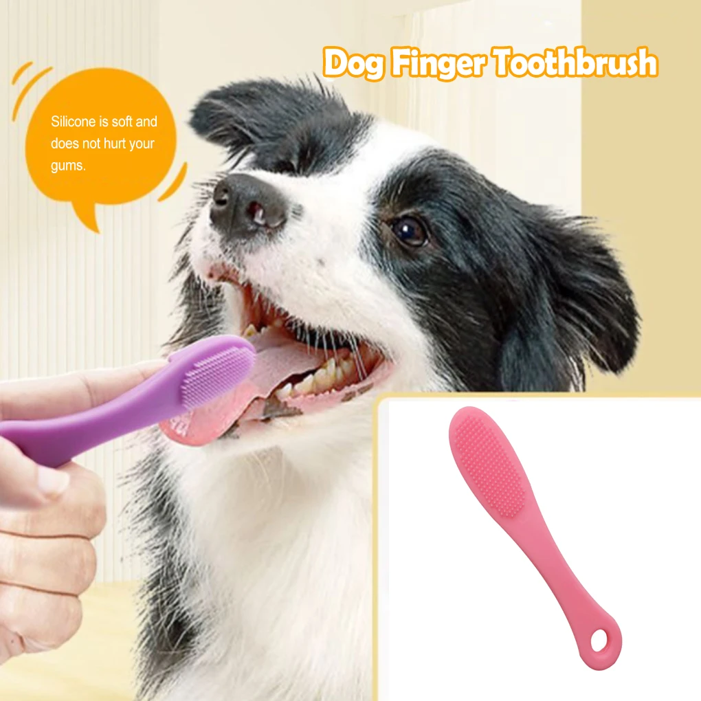 Зубная щетка для животных Силиконовая зубная щетка для мытья пальцев
Зубная щетка для животных Силиконовая зубная щетка для мытья пальцев