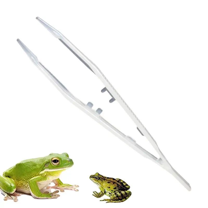 Reptile Feeding Tongs Glow in the Dark Feeders Tools Anti-Slip and Ergonomic Long Tweezers for lizard frog spider and more
Reptile Feeding Tongs Glow in the Dark Feeders Tools Anti-Slip and Ergonomic Long Tweezers for lizard frog spider and more