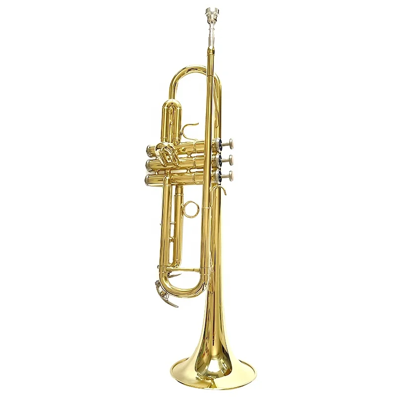 OEM production beginner player Bb trumpet gold lacquered fixed ring trumpet
OEM production beginner player Bb trumpet gold lacquered fixed ring trumpet