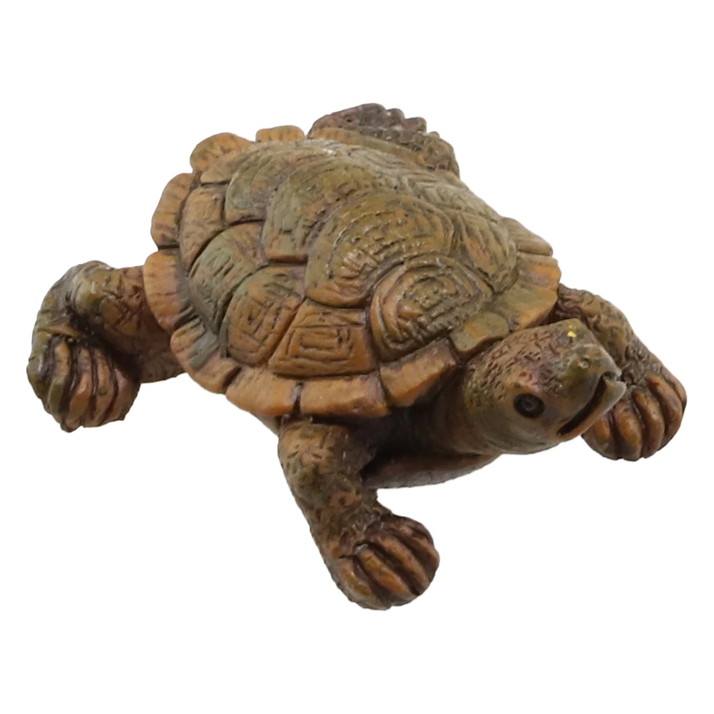 Birthday Gift Turtle Statue 7cm X 5.6cm Artwork Fortune Resin For Decorating Gardens Backyards Lawns High Quality
Birthday Gift Turtle Statue 7cm X 5.6cm Artwork Fortune Resin For Decorating Gardens Backyards Lawns High Quality