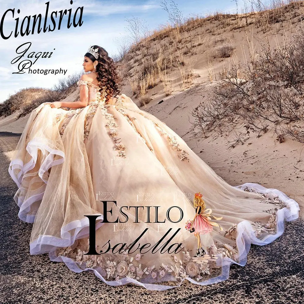 Champagne Beading Crystal Mexican Quinceanera Dresses Ball Gown Off The Shoulder 3D Floral Lace Corset Vestidos De XV Anos
Champagne Beading Crystal Mexican Quinceanera Dresses Ball Gown Off The Shoulder 3D Floral Lace Corset Vestidos De XV Anos