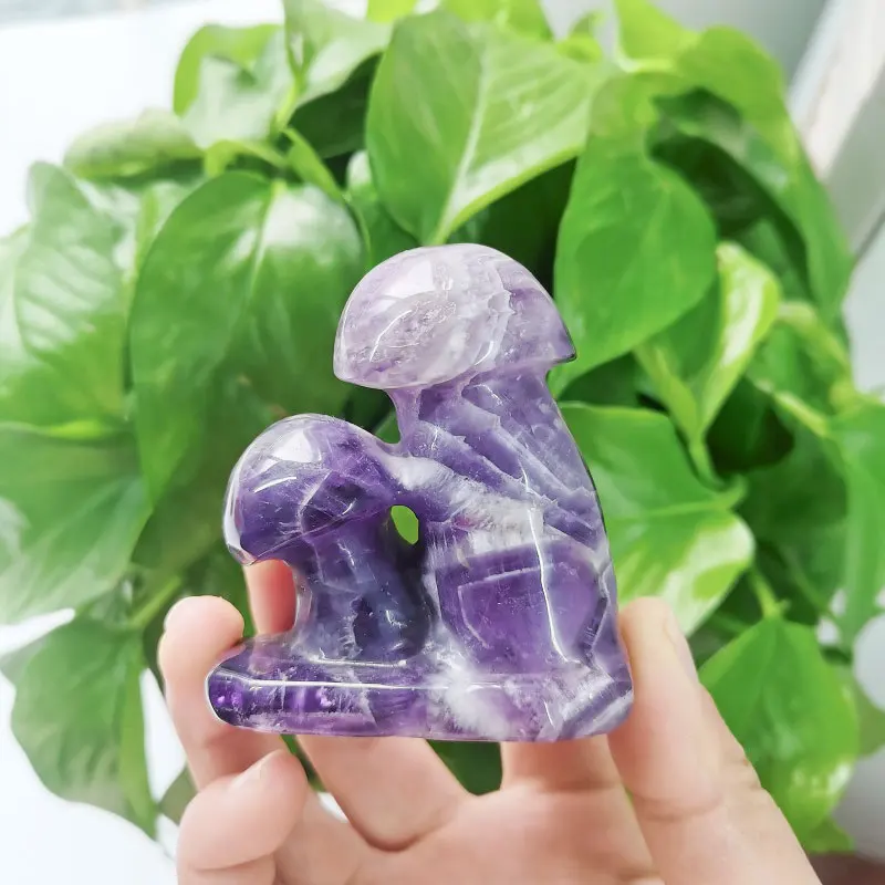 Crystals Mushrooms Natural Hand Carved Lovely Dream Amethyst Mushrooms Decoration Y S L
Crystals Mushrooms Natural Hand Carved Lovely Dream Amethyst Mushrooms Decoration Y S L