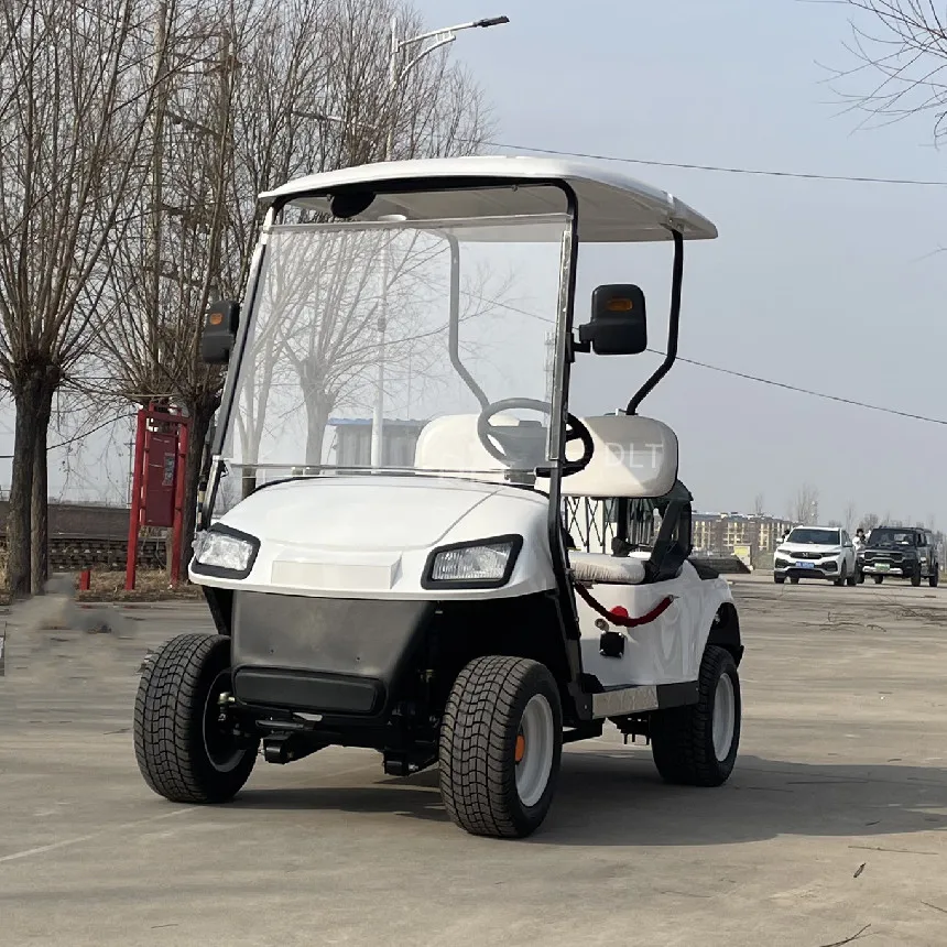 Luxury electric four-wheel new hunting off-road electric golf cart hotel pick up and drop off children
Luxury electric four-wheel new hunting off-road electric golf cart hotel pick up and drop off children