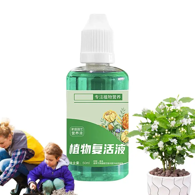 50ml Rapid Rooting Solution For Plant Nutrient Liquid Rooting Stimulator For Seed Organic Liquid Tree Root Stimulator For Tree
50ml Rapid Rooting Solution For Plant Nutrient Liquid Rooting Stimulator For Seed Organic Liquid Tree Root Stimulator For Tree