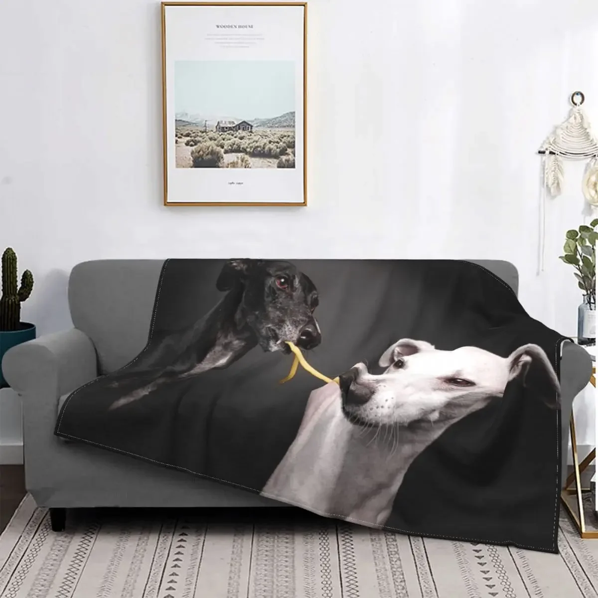 Одеяла для собак Greyhound Whippet Lurcher, одеяла из кораллового флиса, осенне-зимние мягкие одеяла для постельного белья, постельное белье для путешествий
Одеяла для собак Greyhound Whippet Lurcher, одеяла из кораллового флиса, осенне-зимние мягкие одеяла для постельного белья, постельное белье для путешествий
