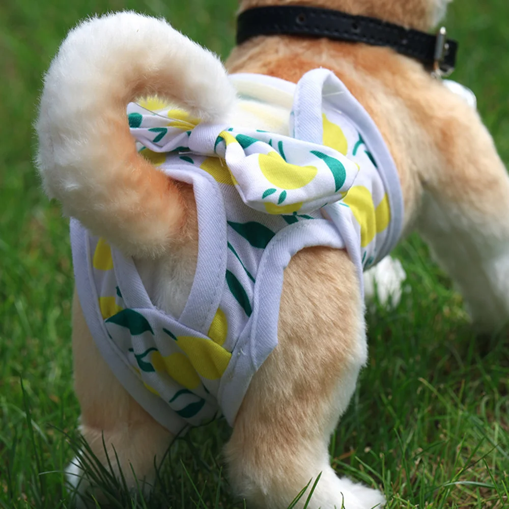 Pet Physiological Pants Dog Menstrual Pants Cute Pet Princess Panties Pet Diaper Dog Breathable Bow Dog Clothes Elasticity Pants Pet Physiological Pants Dog Menstrual Pants Cute Pet Princess Panties Pet Diaper Dog Breathable Bow Dog Clothes Elasticity Pants