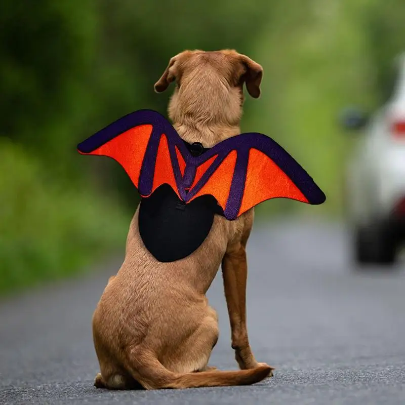 

Cat Halloween Costume Bat Wings Soft Cat Bat Wings With Leash Cute Cats And Dogs Dressing Accessories Pet Cat Dogs Bat Wings