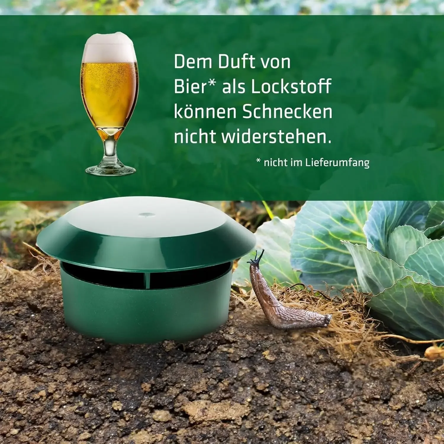 Reusable Snail & Slug Trap Sdc6a306cc8cb4fe68333fd61835ad7aas