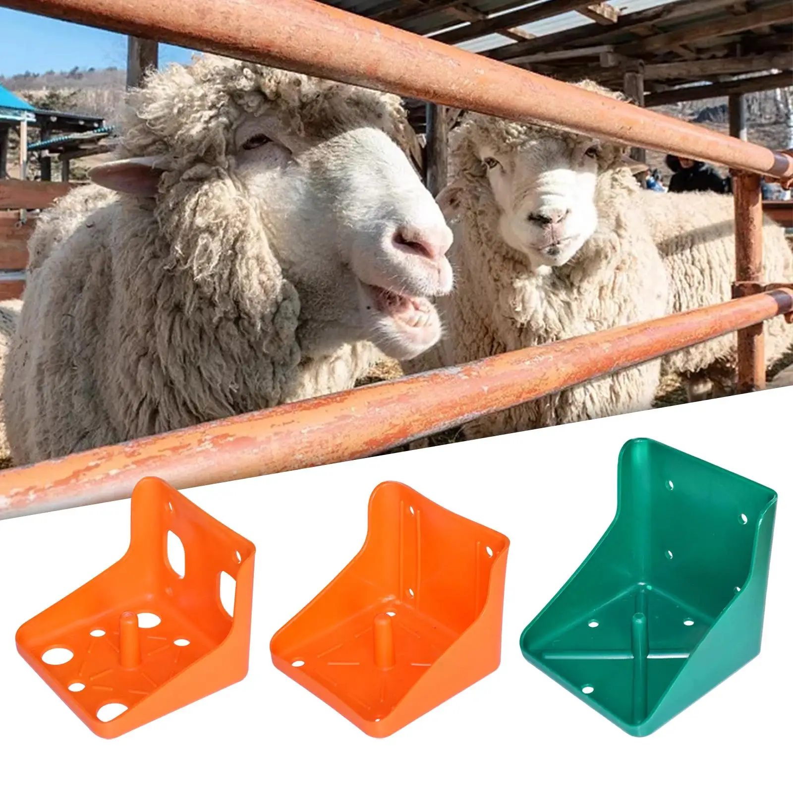 Salt Block Holder Goat Mineral Block Tray Salt Lick Holder Mineral Block Holder Durable Feeding Box Cattle Sheep for Farm Animal
Salt Block Holder Goat Mineral Block Tray Salt Lick Holder Mineral Block Holder Durable Feeding Box Cattle Sheep for Farm Animal