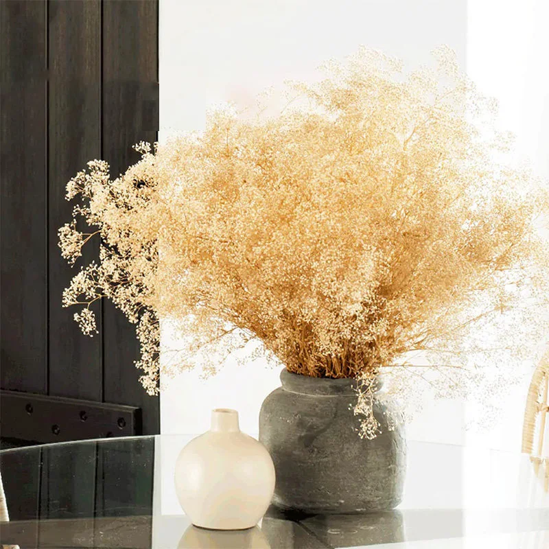 Dried Baby Breath Flowers Natural Dry Flower Gypsophile DIY Bouquet Mother Friends Gift for Wedding Party Decoration Nordic Home
Dried Baby Breath Flowers Natural Dry Flower Gypsophile DIY Bouquet Mother Friends Gift for Wedding Party Decoration Nordic Home