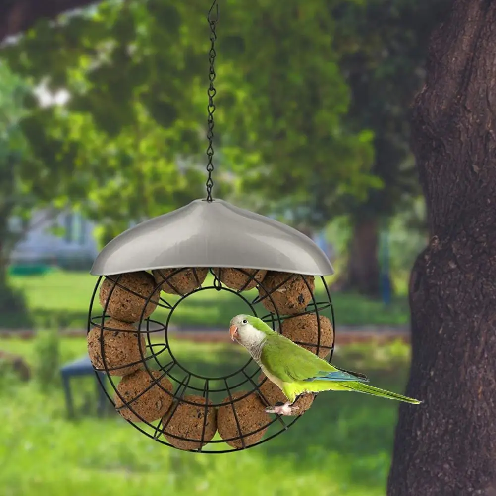 Bird Feeder With Lanyard Feeding Metal Frame Squirrel Proof Bird Feeder Tray Hanging Outdoor Bird Feeder With Large Food Ring
Bird Feeder With Lanyard Feeding Metal Frame Squirrel Proof Bird Feeder Tray Hanging Outdoor Bird Feeder With Large Food Ring