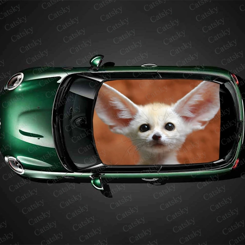 Симпатичная виниловая наклейка Fennec, декоративная пленка в виде лисы, животного, наклейка на автомобиль, Виниловая наклейка, графическая пленка, аксессуары для защиты автомобиля, подарок
Симпатичная виниловая наклейка Fennec, декоративная пленка в виде лисы, животного, наклейка на автомобиль, Виниловая наклейка, графическая пленка, аксессуары для защиты автомобиля, подарок