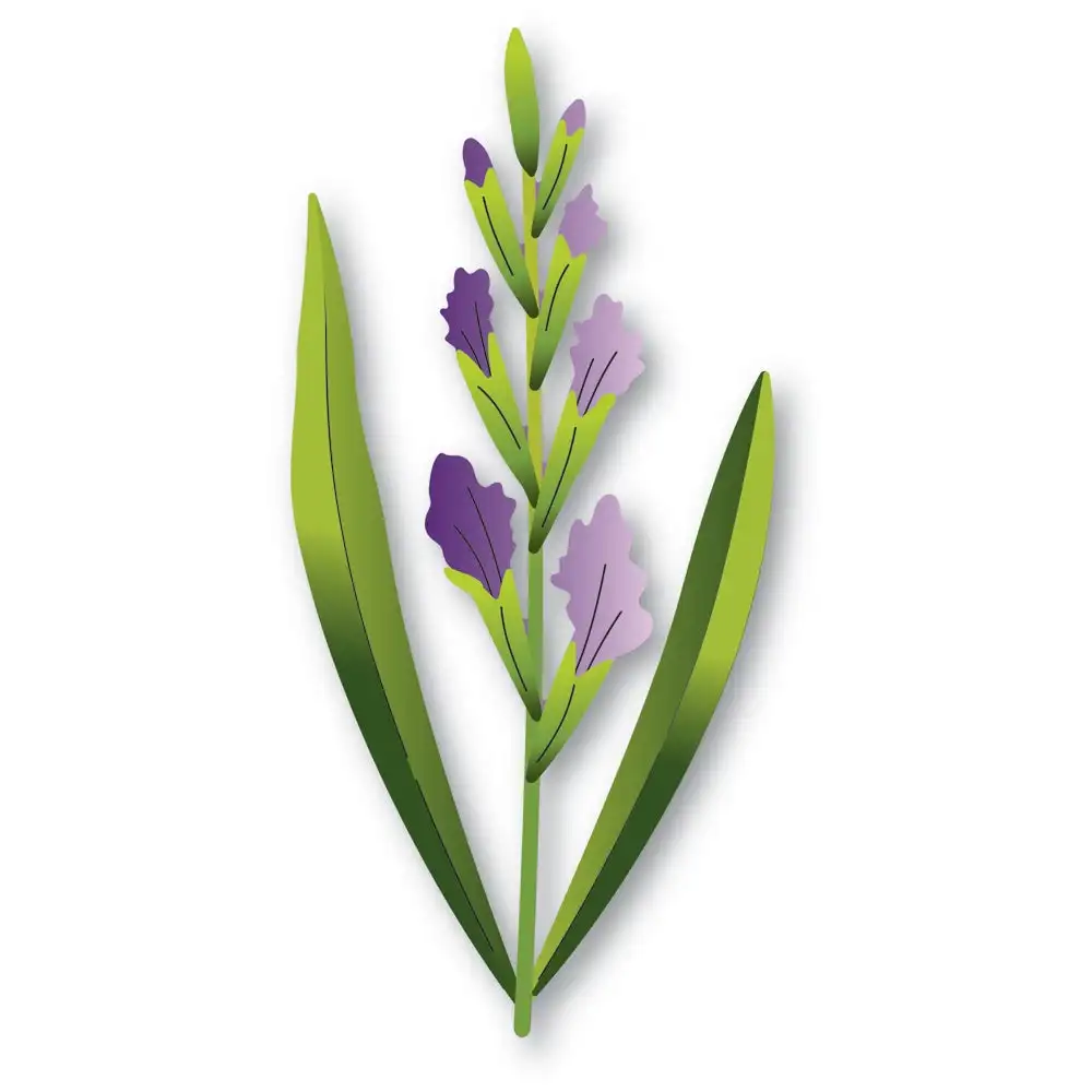 Budding Gladiola Stem металлические Вырубные штампы, вырубные штампы для оформления искусственных украшений, альбом для скрапбукинга
Budding Gladiola Stem металлические Вырубные штампы, вырубные штампы для оформления искусственных украшений, альбом для скрапбукинга