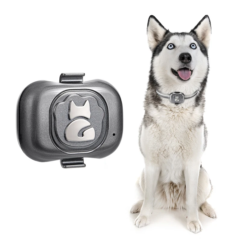 2G Gps Tracker For Dog Locator Waterproof Anti-Lost Device Smart Phone Object Finder Small Alarm Pet Anti-Theft
2G Gps Tracker For Dog Locator Waterproof Anti-Lost Device Smart Phone Object Finder Small Alarm Pet Anti-Theft