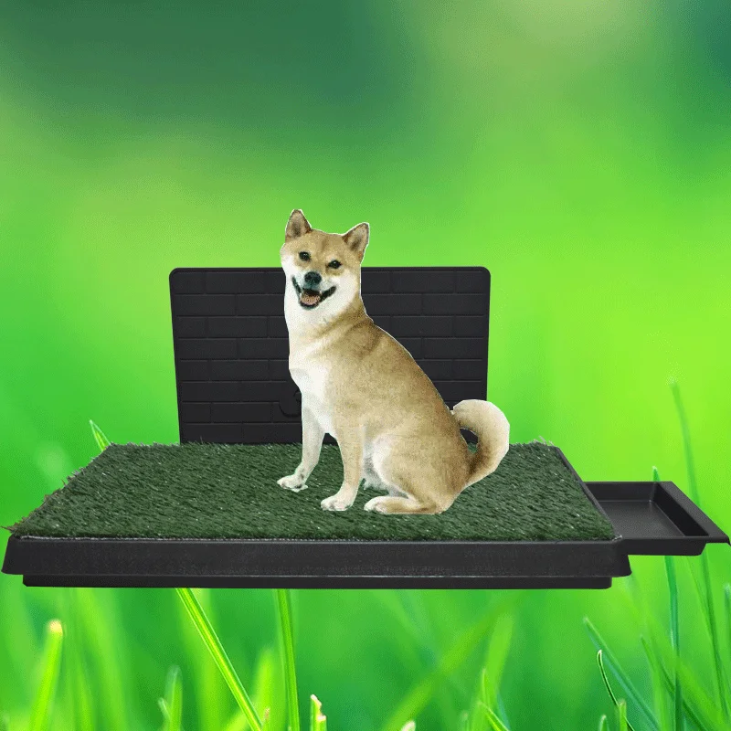 Poop Collector Pet Toilet Simulated Lawn Training Dog Potty Tray Accessories Sprinkler Bolsas Caca Perro Pet Products CY50DT
Poop Collector Pet Toilet Simulated Lawn Training Dog Potty Tray Accessories Sprinkler Bolsas Caca Perro Pet Products CY50DT