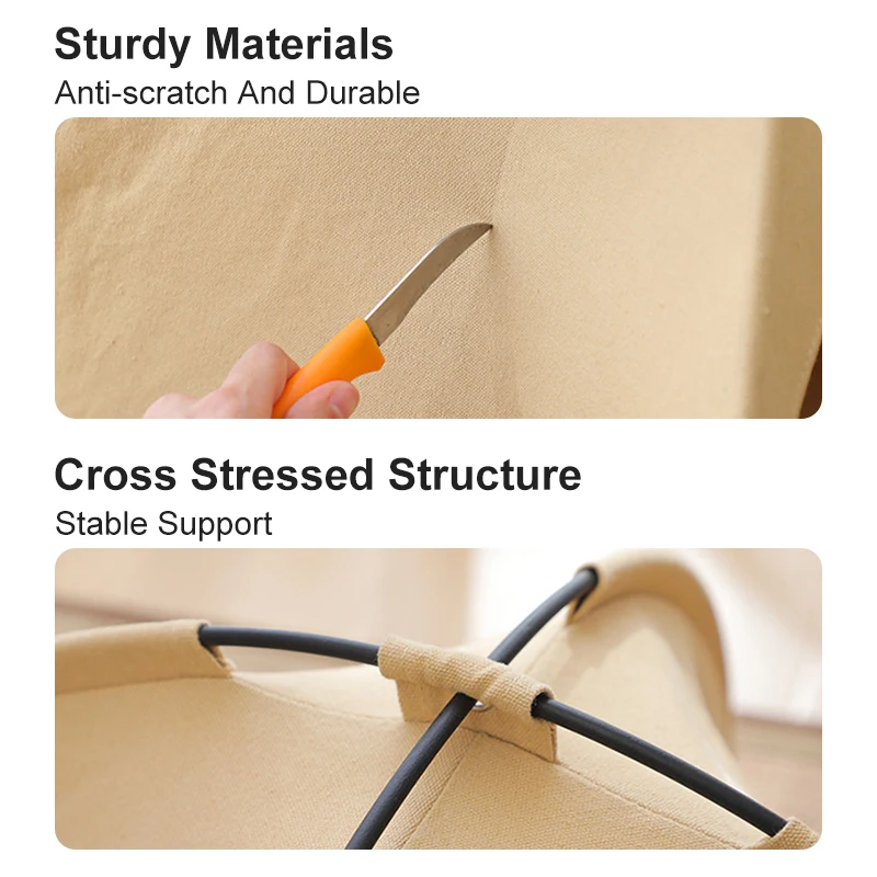 Sdcfdb03bc31249a8a07cb2e38bb17916B