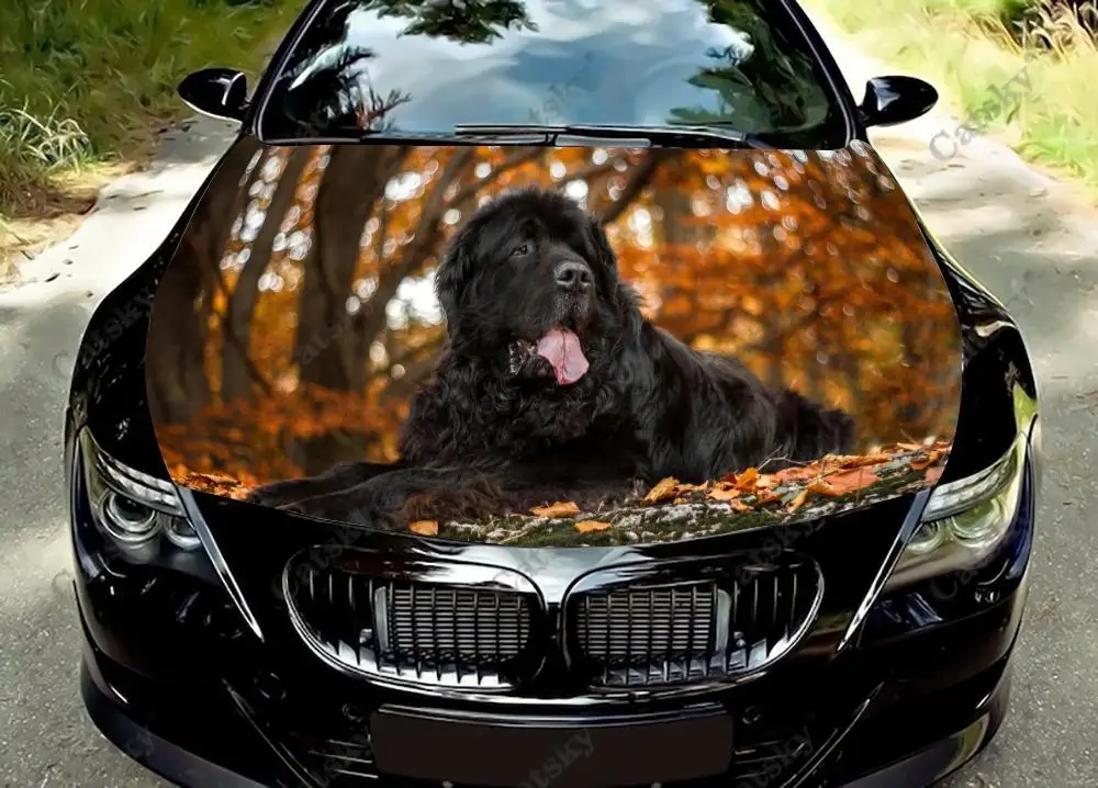 Animal Newfoundland Puppy Car Hood Vinyl Sticker Wrap Engine Cover Decal Full Color Graphic Auto Accessories Protective Film
Animal Newfoundland Puppy Car Hood Vinyl Sticker Wrap Engine Cover Decal Full Color Graphic Auto Accessories Protective Film