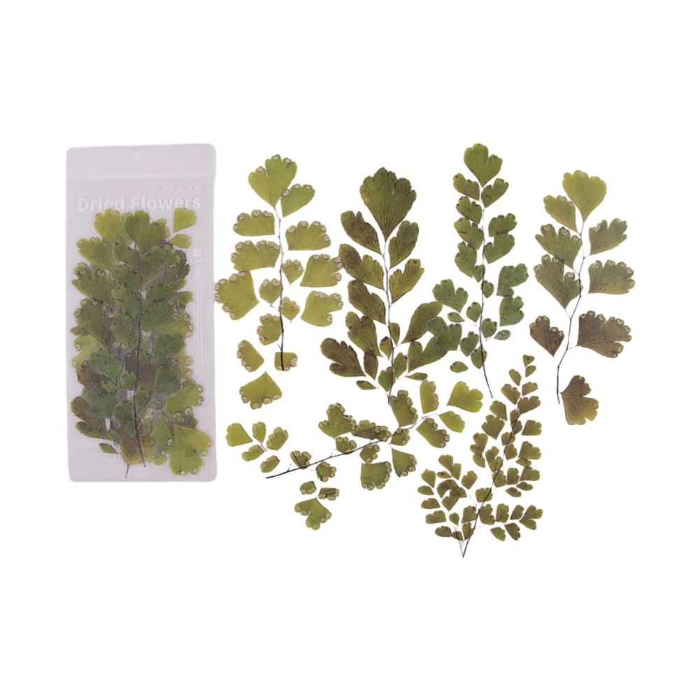 High Quality Sticker Craft Stickers 10mm*200mm Aesthetic Stationery Diary Deco Dried Flower Gift Boxes Notebooks
High Quality Sticker Craft Stickers 10mm*200mm Aesthetic Stationery Diary Deco Dried Flower Gift Boxes Notebooks