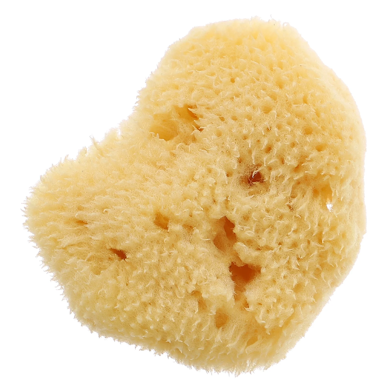Small Painting Watercolor Natural Sea Sponge High Quality Watercolor Painting Environmentally Friendly Natural Natural Sea
Small Painting Watercolor Natural Sea Sponge High Quality Watercolor Painting Environmentally Friendly Natural Natural Sea