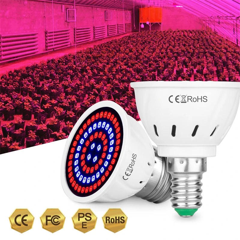 

Phyto LEDs Hydroponic Growth Light B22 E27 LED Grow Bulb MR16 Full Spectrum 220V UV Lamp Plant E14 Flower Seedling Fitolamp GU10