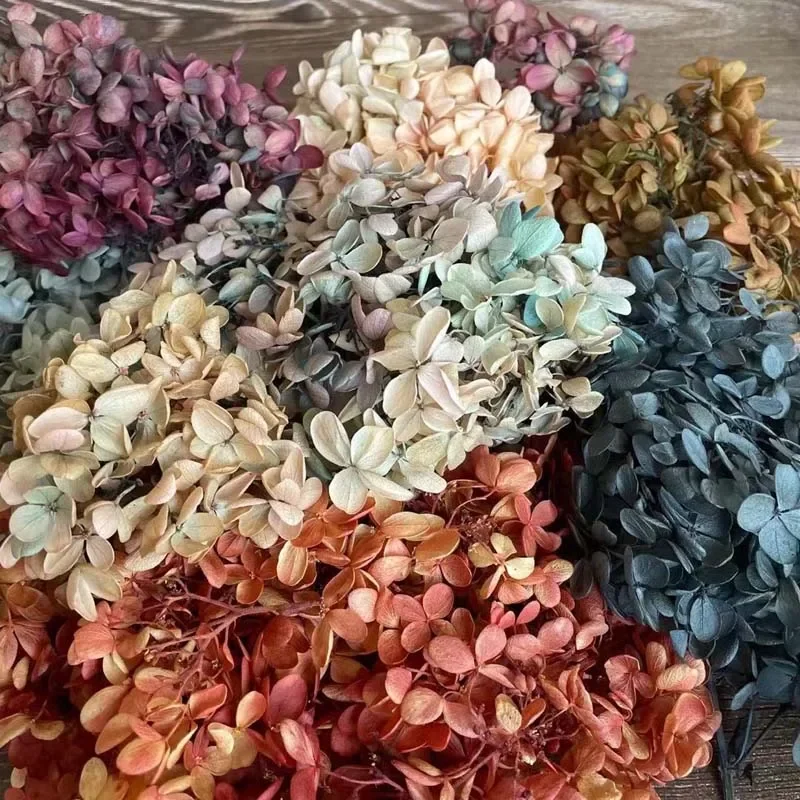 6.5g/About 3~4CM Flower Petal,Real Natural Fresh Preserved Flowers Dried Wood Hydrangea Flower Head,Eternal Big-Leaf Hydrangeas
6.5g/About 3~4CM Flower Petal,Real Natural Fresh Preserved Flowers Dried Wood Hydrangea Flower Head,Eternal Big-Leaf Hydrangeas