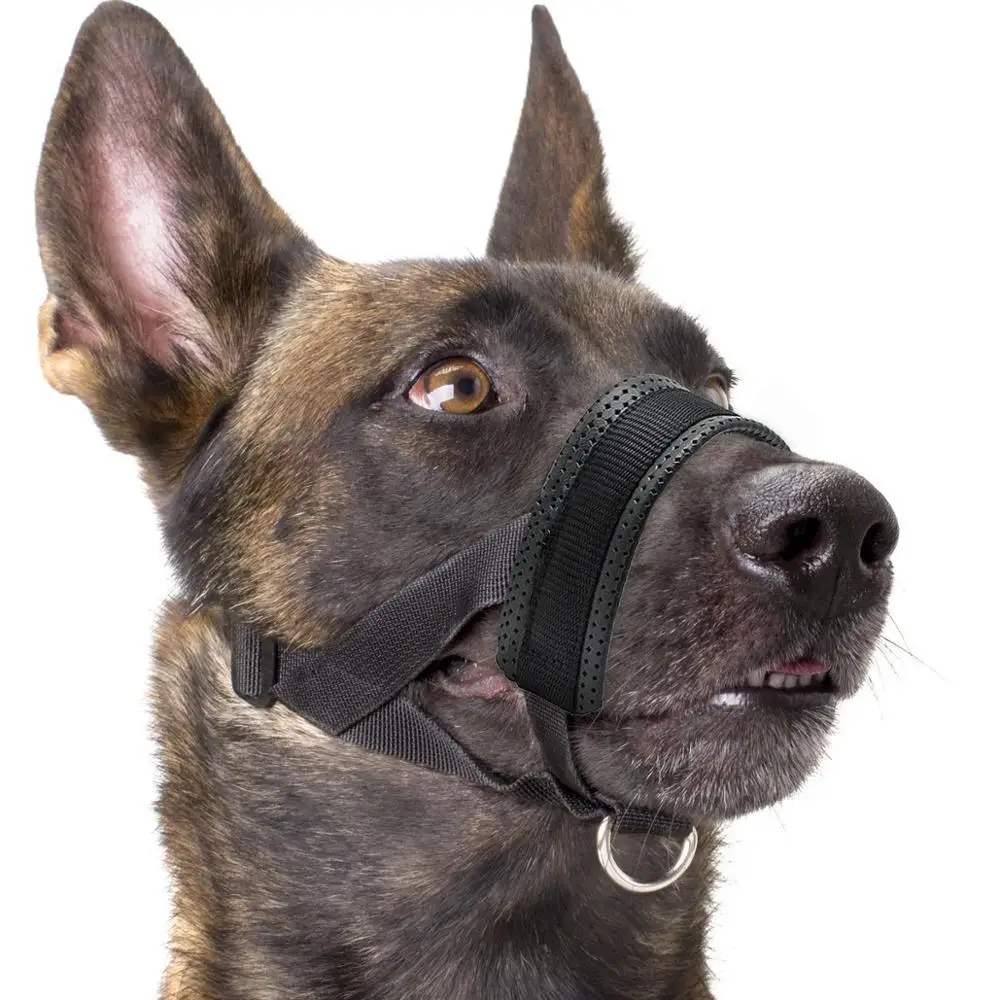 

Dog Muzzle Adjustable Nylon Soft Padded Muzzle Reflective for Medium Large Dogs Anti Bark Anti Bite Dog Muzzle Dogs Supplies