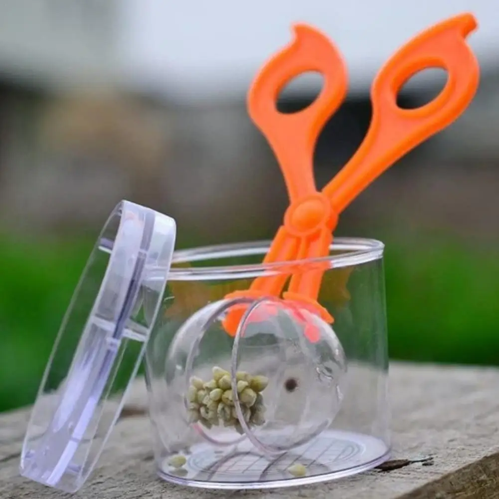 1PCS Bug Insect Catcher Scissors Tongs Tweezers Scooper Clamp Kids Toy Cleaning Tool For Children Toy Handy mosquito trap
1PCS Bug Insect Catcher Scissors Tongs Tweezers Scooper Clamp Kids Toy Cleaning Tool For Children Toy Handy mosquito trap