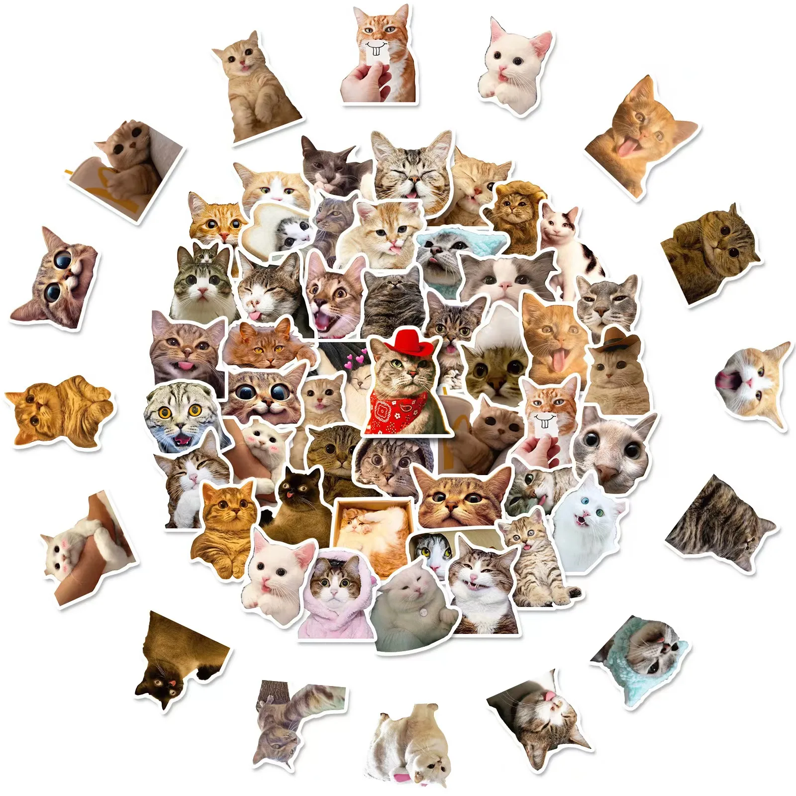 50Pcs Cute Cat Stickers,Waterproof Sticker for DIY, Luggage and Teaching, Best Gift
50Pcs Cute Cat Stickers,Waterproof Sticker for DIY, Luggage and Teaching, Best Gift