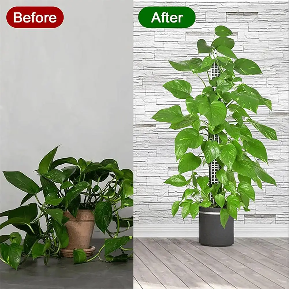 

Plastic Moss Pole Durable Plant Poles for Indoor Climbing Plants High Strength Support Accessories for Potted Vines Stable Easy