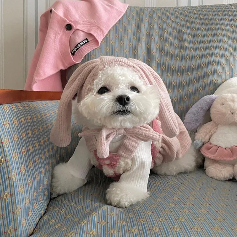 Cute And Sweet Winter Outfits For Dogs Cute And Sweet Winter Outfits For Dogs