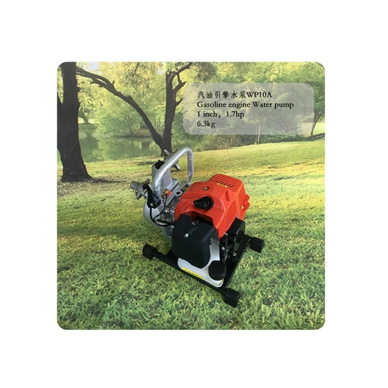 mechanized sprinkler irrigation equipment two stroke gasoline self priming pump
mechanized sprinkler irrigation equipment two stroke gasoline self priming pump