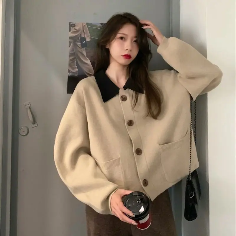 Turn-Down Collar Simple Pocket Knit Cardigan 2023 Autumn Winter Fashion Women Sweater Office Lady Loose Style Cardigan Sweater
Turn-Down Collar Simple Pocket Knit Cardigan 2023 Autumn Winter Fashion Women Sweater Office Lady Loose Style Cardigan Sweater
