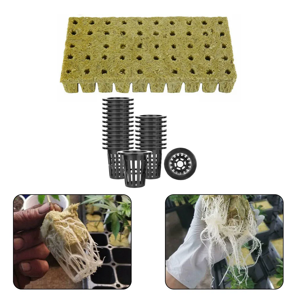 Plant Net Cups Planting Basket Vegetable Base Cubes Diameter 38.5mm For Hydroponic Height 50mm Plastic Sprout Safe
Plant Net Cups Planting Basket Vegetable Base Cubes Diameter 38.5mm For Hydroponic Height 50mm Plastic Sprout Safe
