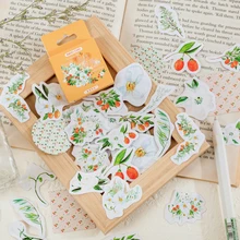 Kumquat Rose Phone Aesthetic Stickers Decoracion Scrapbooking Accessories Sticker Flakes Office School Supplies 46PCS
Kumquat Rose Phone Aesthetic Stickers Decoracion Scrapbooking Accessories Sticker Flakes Office School Supplies 46PCS