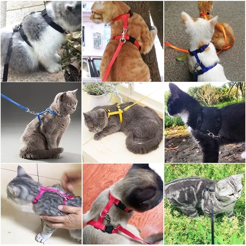 

2022New Adjustable Pet Cat Collar For Cats Cozy Nylon Rabbit Kitten Kedi Harness Leash Set Dog Cat Accessories Products For Pets