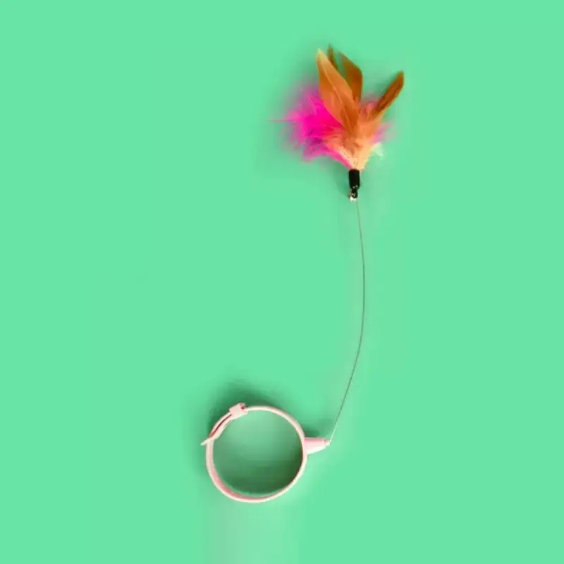 Светящиеся пищалки для собак, шарики, шип, зубы с бородкой, Чистящие резиновые молярные жевательные игрушки для собак, интерактивные
Светящиеся пищалки для собак, шарики, шип, зубы с бородкой, Чистящие резиновые молярные жевательные игрушки для собак, интерактивные