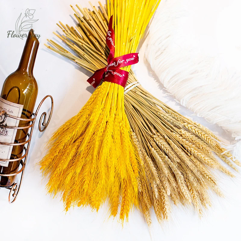 Natural Dry Flowers Wheat Ear Preserved Grass Bouquet Nordic Home Garden Decor DIY Wedding Table Christmas Business Decoration
Natural Dry Flowers Wheat Ear Preserved Grass Bouquet Nordic Home Garden Decor DIY Wedding Table Christmas Business Decoration