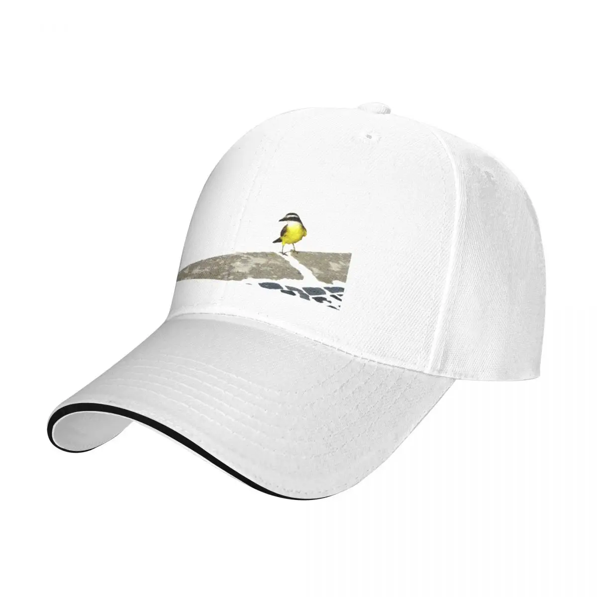 Бейсболка Pitangus сульфуратус-Great kiskadee, солнцезащитная Кепка на заказ, Солнцезащитная Мужская кепка 
Бейсболка Pitangus сульфуратус-Great kiskadee, солнцезащитная Кепка на заказ, Солнцезащитная Мужская кепка