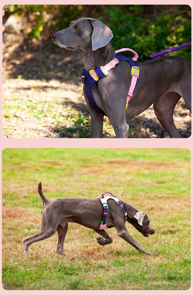 Se0205f7b22574054a8662295614a0691Y