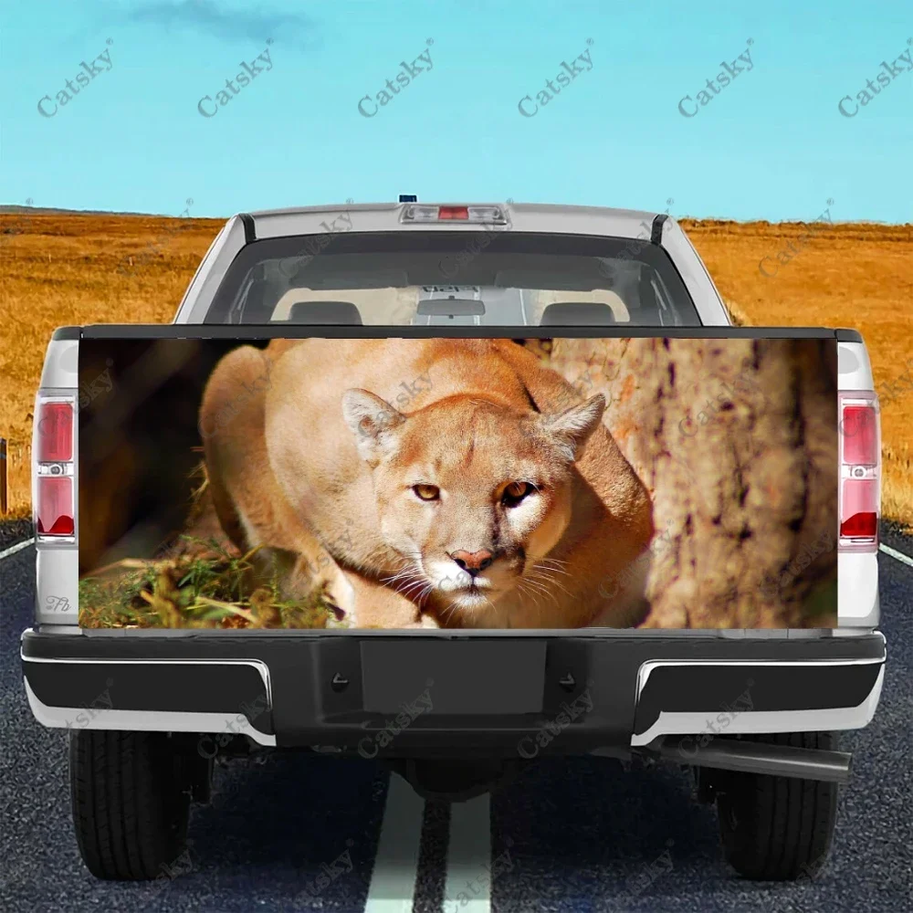 Наклейки Cougar в виде животных для автомобиля, украшение для заднего вида грузовика, картина, наклейки для модификации автомобиля, аксессуары для автомобиля, искусственные драгоценности
Наклейки Cougar в виде животных для автомобиля, украшение для заднего вида грузовика, картина, наклейки для модификации автомобиля, аксессуары для автомобиля, искусственные драгоценности