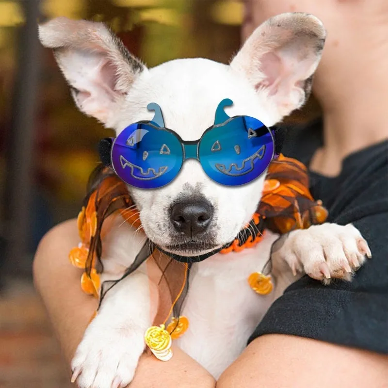 

Fold Pet Dog Glasses Prevent UV Pet Glasses for Cats Dog Fashion Sunglasses Dog Goggles Photo Prop Pet Accessories Dog Supplies