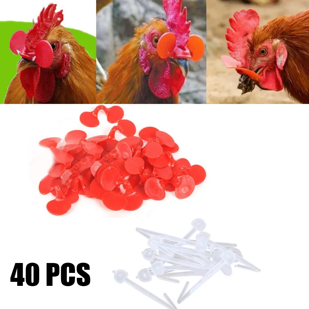 40Pcs Pinless No Pin Bolt Bird Chicken Peepers Eye Glasses Pheasant Poultry Blinders Spectacles Anti-pecking Feed Plier Tool
40Pcs Pinless No Pin Bolt Bird Chicken Peepers Eye Glasses Pheasant Poultry Blinders Spectacles Anti-pecking Feed Plier Tool