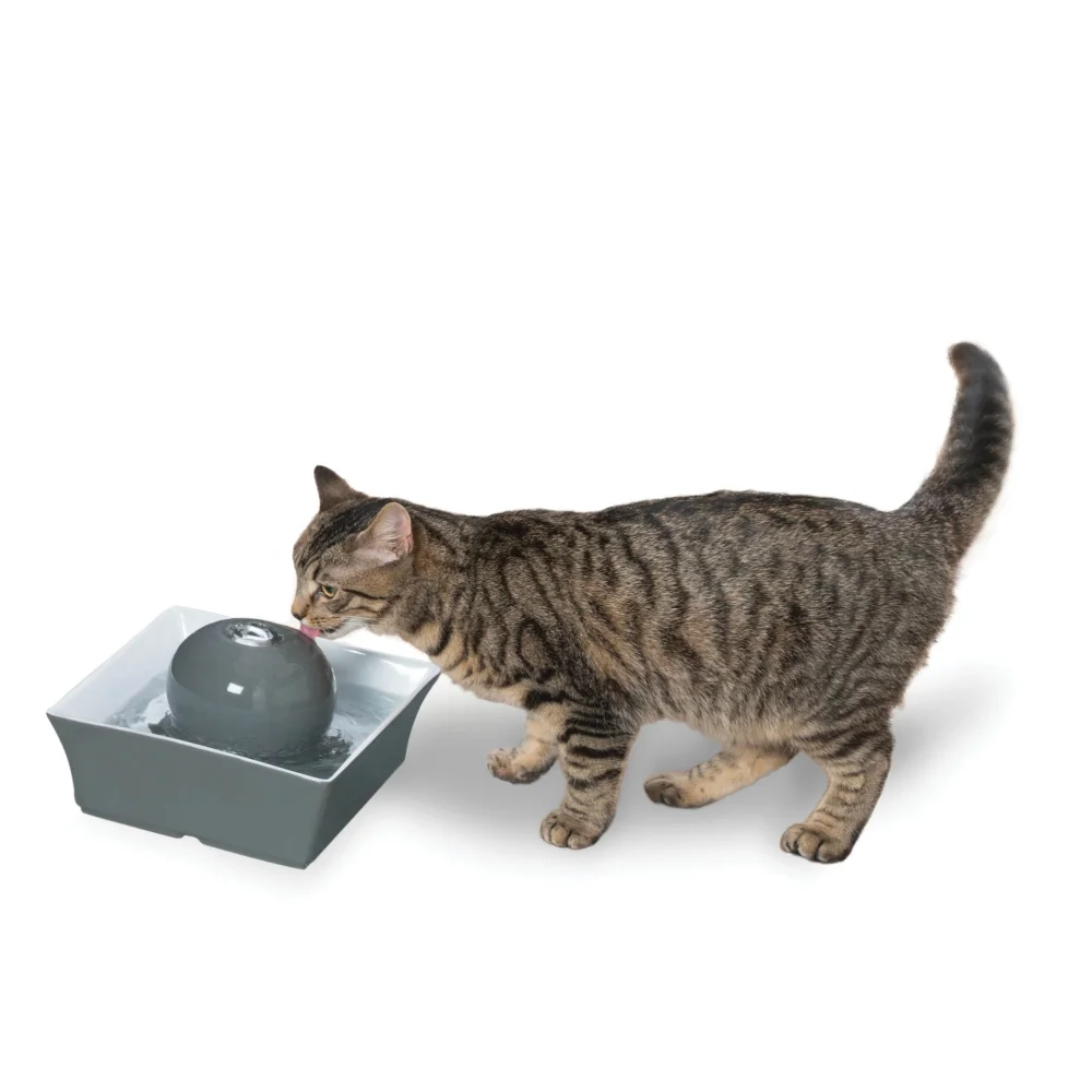 Drinkwell Seascape Ceramic Pet Fountain, Dog & Cat Water Bowl, 70 Oz,13.00 X 11.38 X 8.13 Inches
Drinkwell Seascape Ceramic Pet Fountain, Dog & Cat Water Bowl, 70 Oz,13.00 X 11.38 X 8.13 Inches